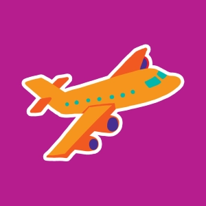Das Flugzeug