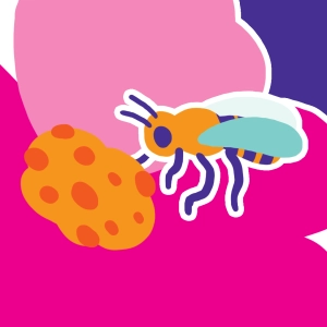 Pollinisation