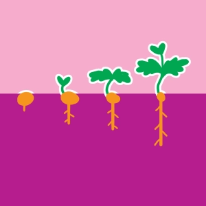 Germination