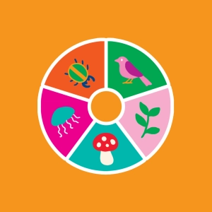 Classification of living things