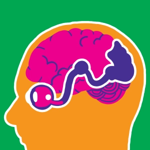 De l'œil au cerveau