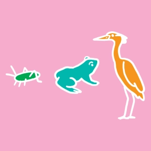 Écosystème de l'étang (relation trophique)