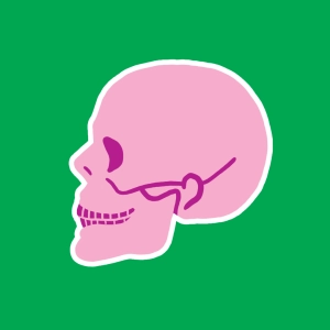 Skulls and dentitions