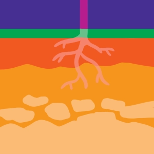 Soil formation