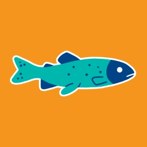 Cycle de vie de la truite