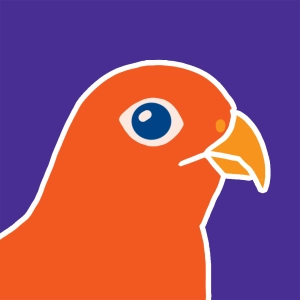 Birds' beaks