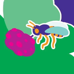 Pollination
