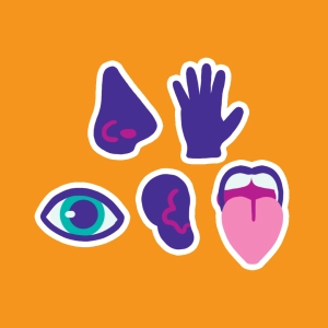 Video: The 5 Senses