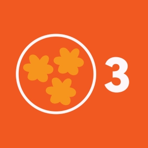 Enumerating sets